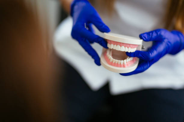 Best Dental Exams and Cleanings  in St Augustine Beach, FL